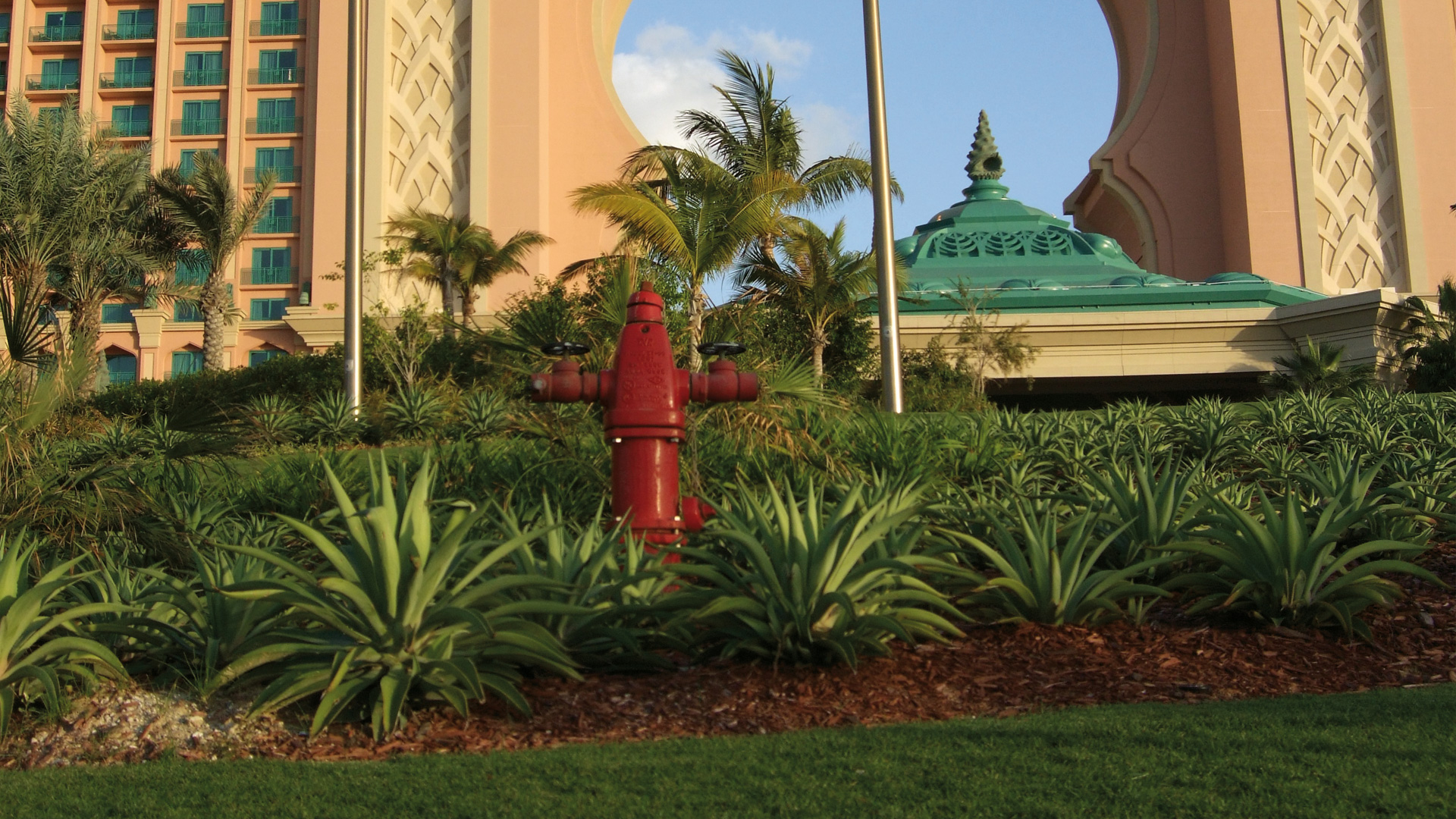 Fire Hydrant  Outdoor