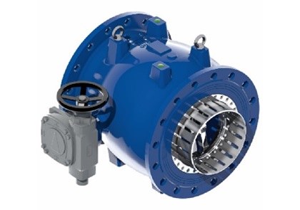 Animated flow through AVK needle valve