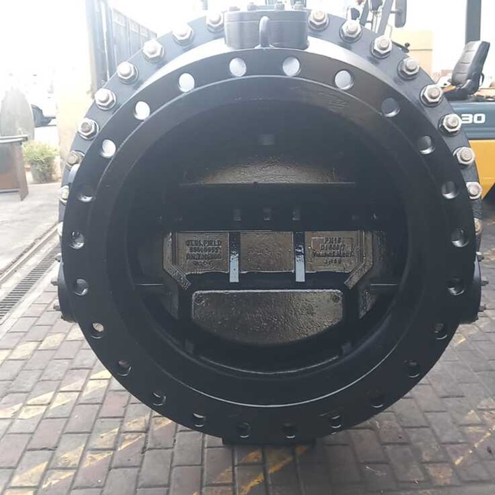 Check Valve