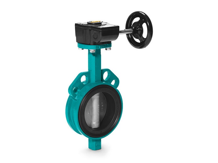 Desponia butterfly valve Interapp